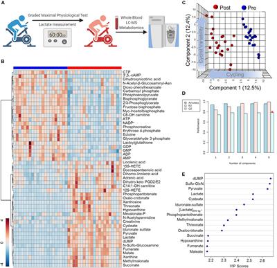 Metabolomics of Endurance Capacity in World Tour Professional Cyclists